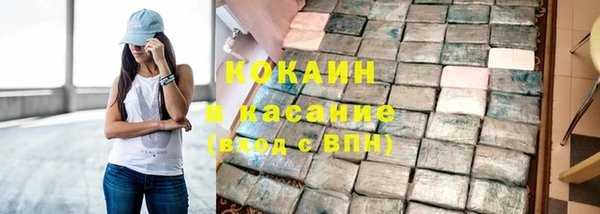 дживик Надым