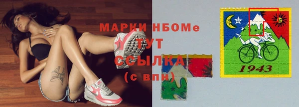дживик Надым