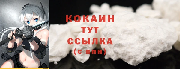 дживик Надым