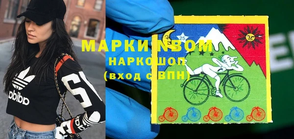 дживик Надым