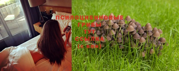 герыч Наволоки