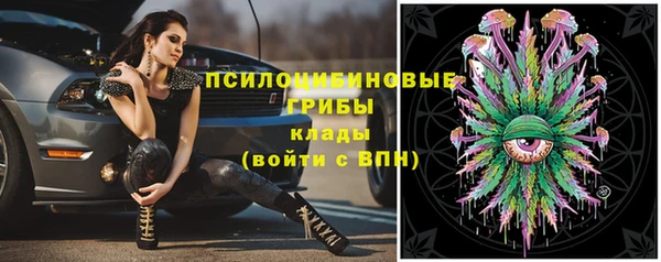 дживик Надым
