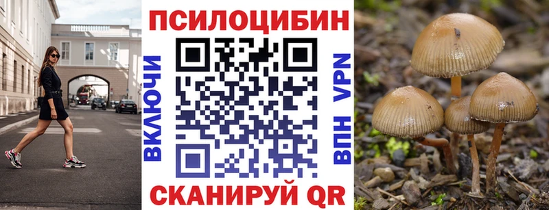 Галлюциногенные грибы мицелий  Хилок 